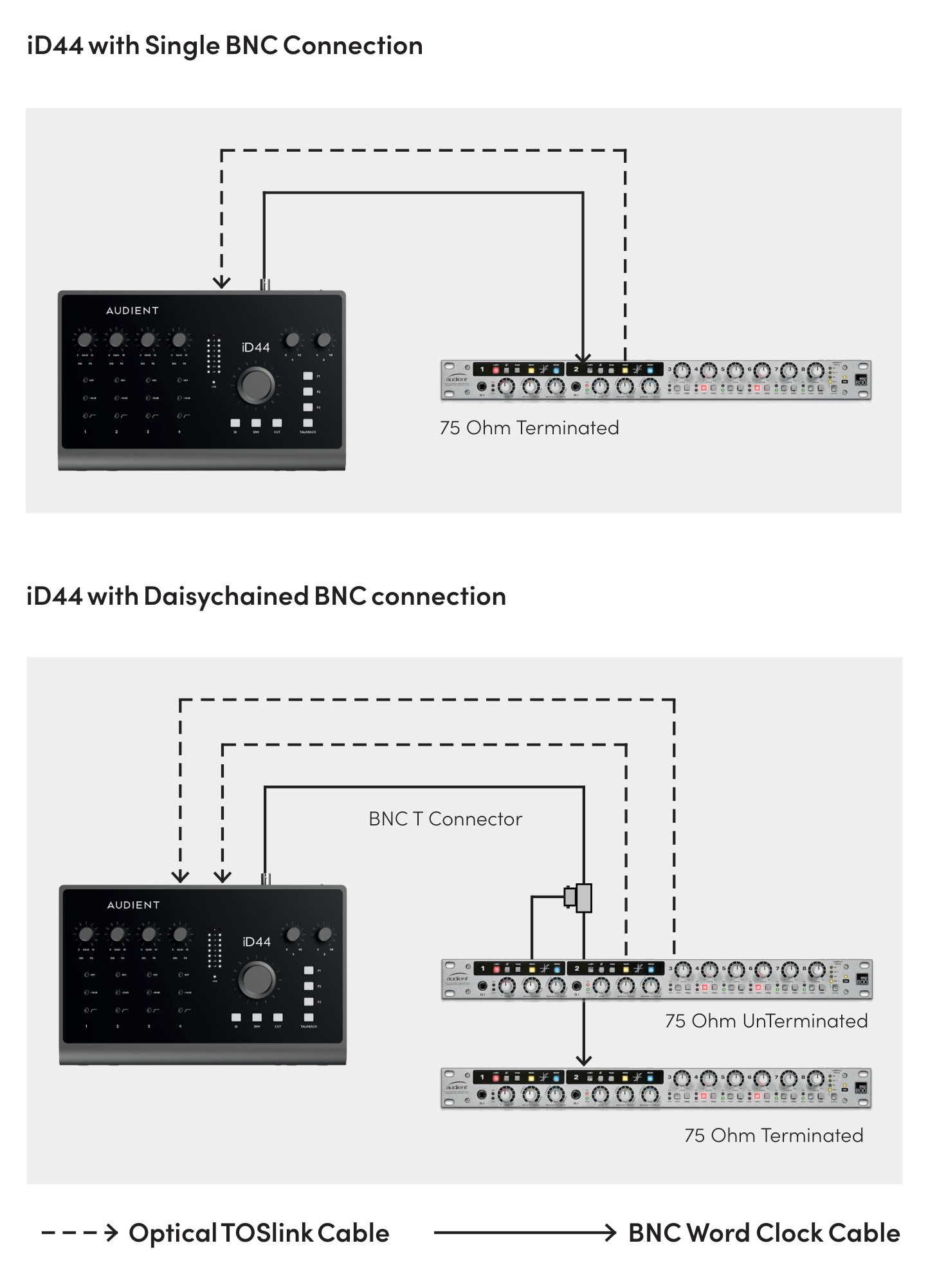 iD44 MKII single-device and daisy-chained BNC Word Clock examples