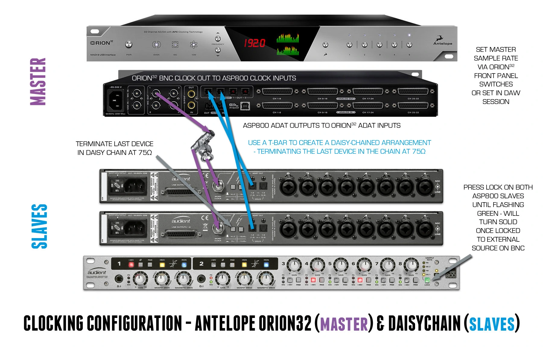 iD22 と Digidesign 機器がスレーブとして動作する ASP800 クロッキング例
