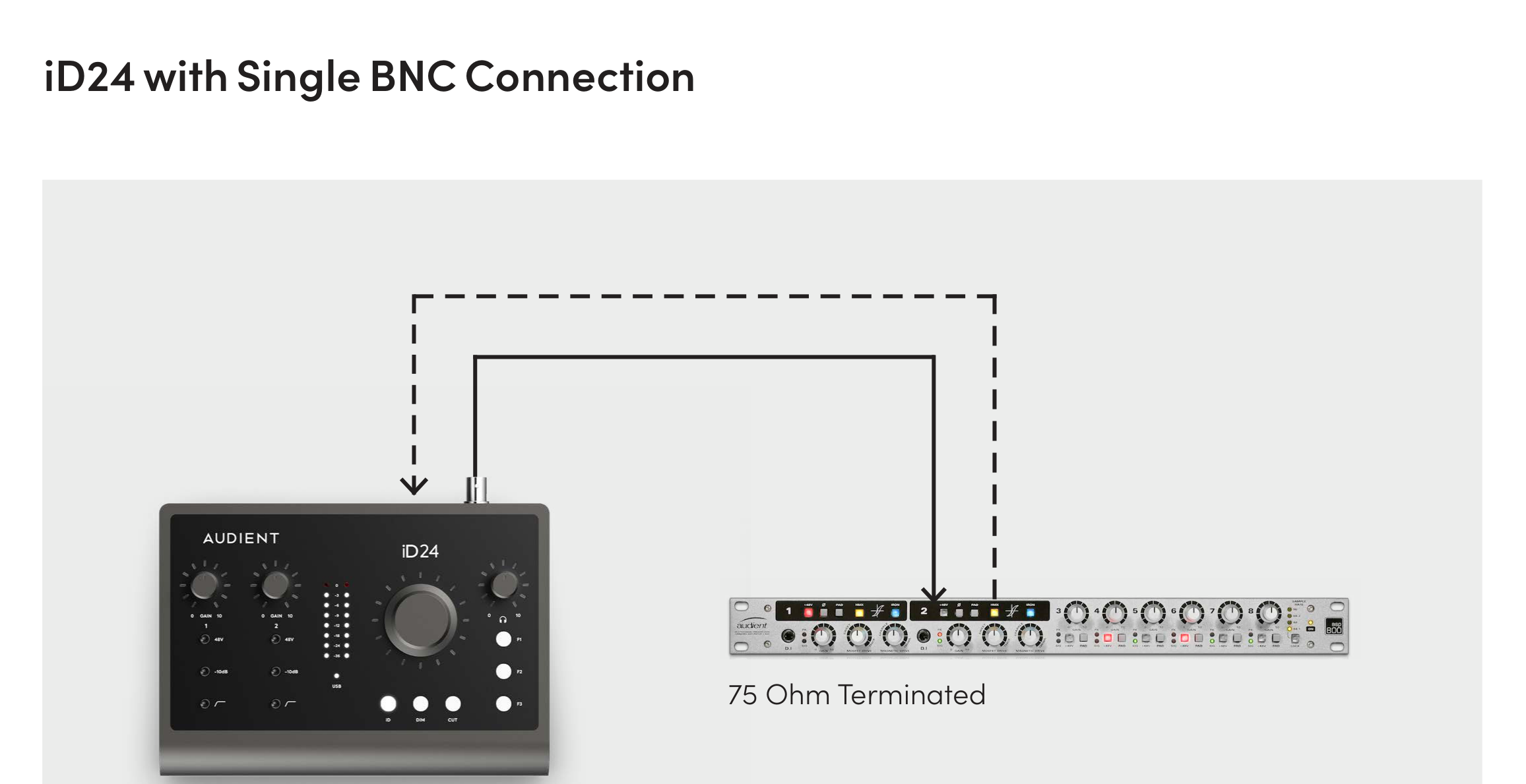 iD24 通过 BNC 字时钟连接作为时钟主设备