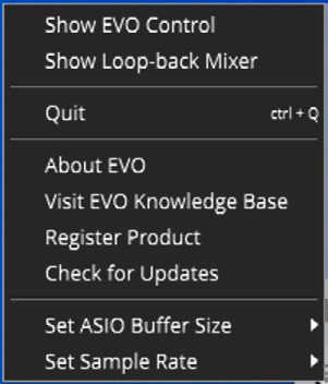 Windows 中的 EVO 应用程序菜单