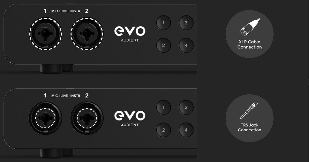 EVO 16 前部模拟组合输入,显示 XLR 和 1/4 英寸 TRS 连接